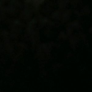 Meet your Posher, Sandy